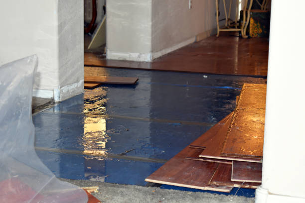 Professional Basement Flood Cleanup technician working in Lafayette, IN